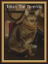Token The Terrible